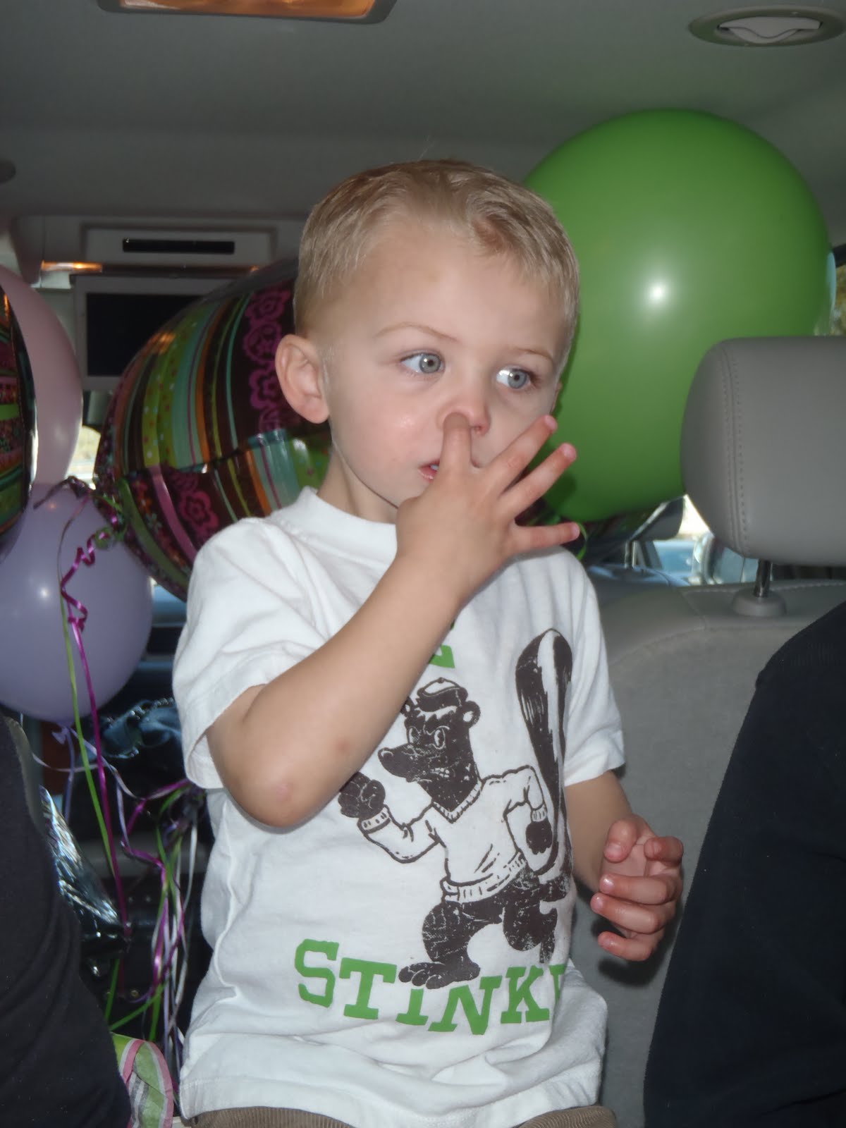 Davis Divas and Dude: Addison&rsquo;s 5th Birthday