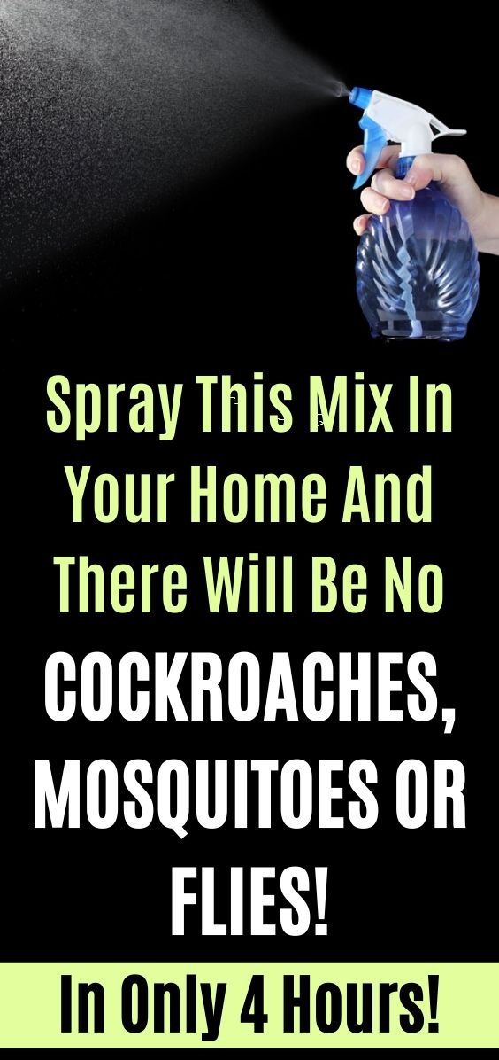 Use This Spray This In Your Home And There Will Be No Flies