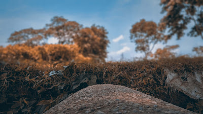 Free Images Stock Background Photos free images, background images, background stock, background, nature background, free stock background image, free stock photos