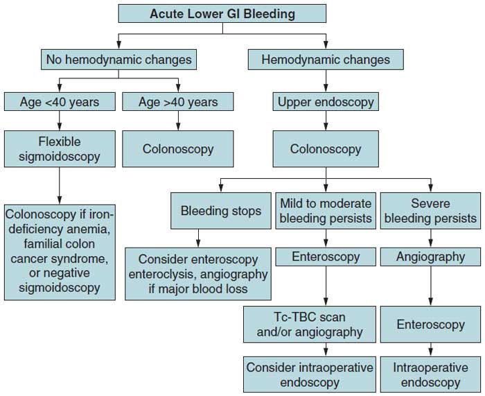 Emergency medicine gastrointestinal bleeding case file
