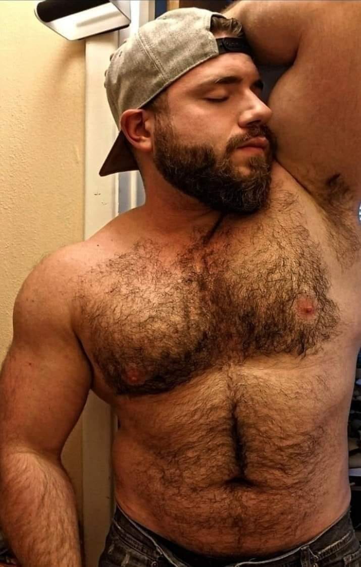 большие геи медведи фото 49