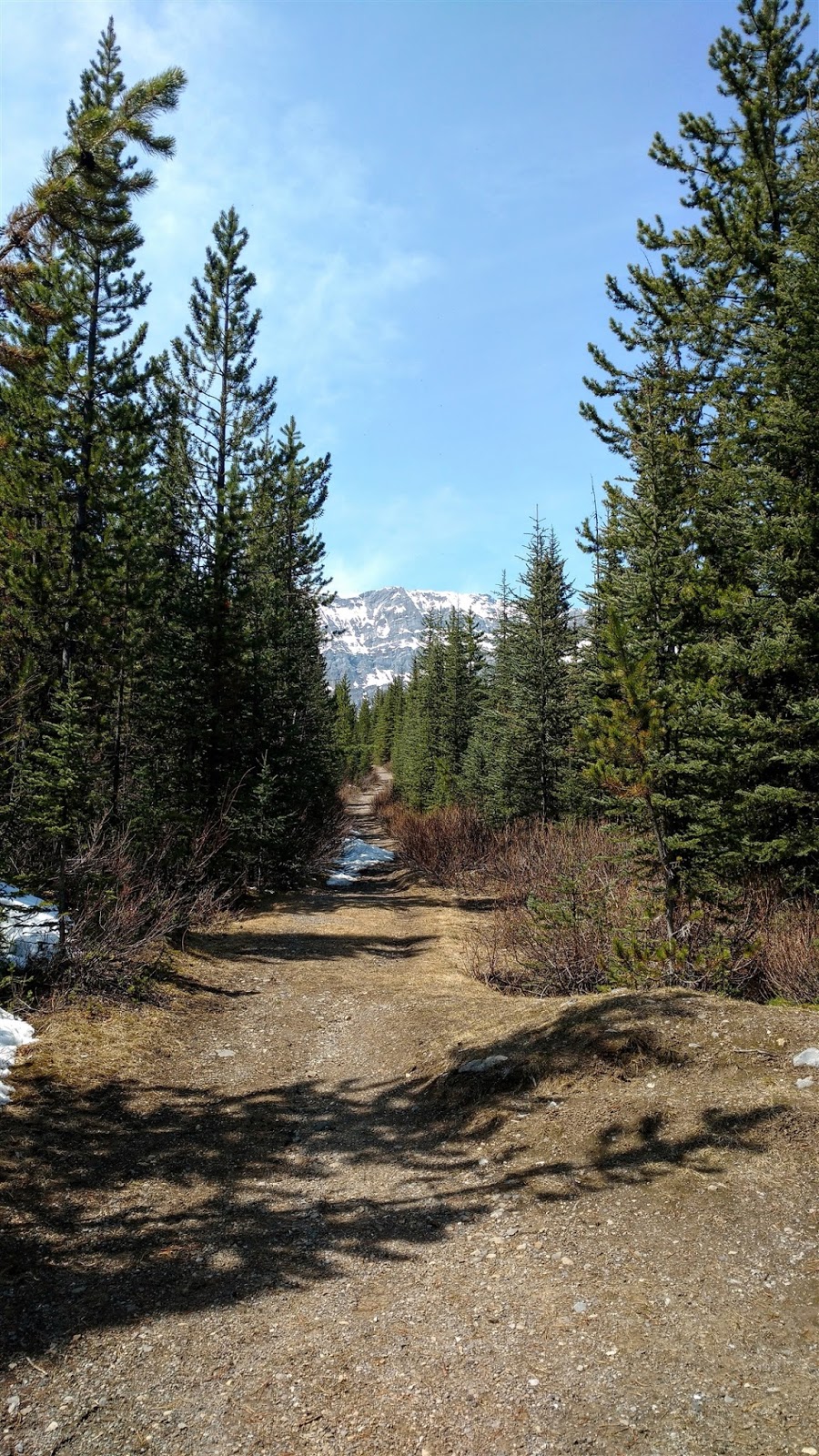 Mount Black Prince Cirque Trail (aka Warspite Lake) Play Outside Guide