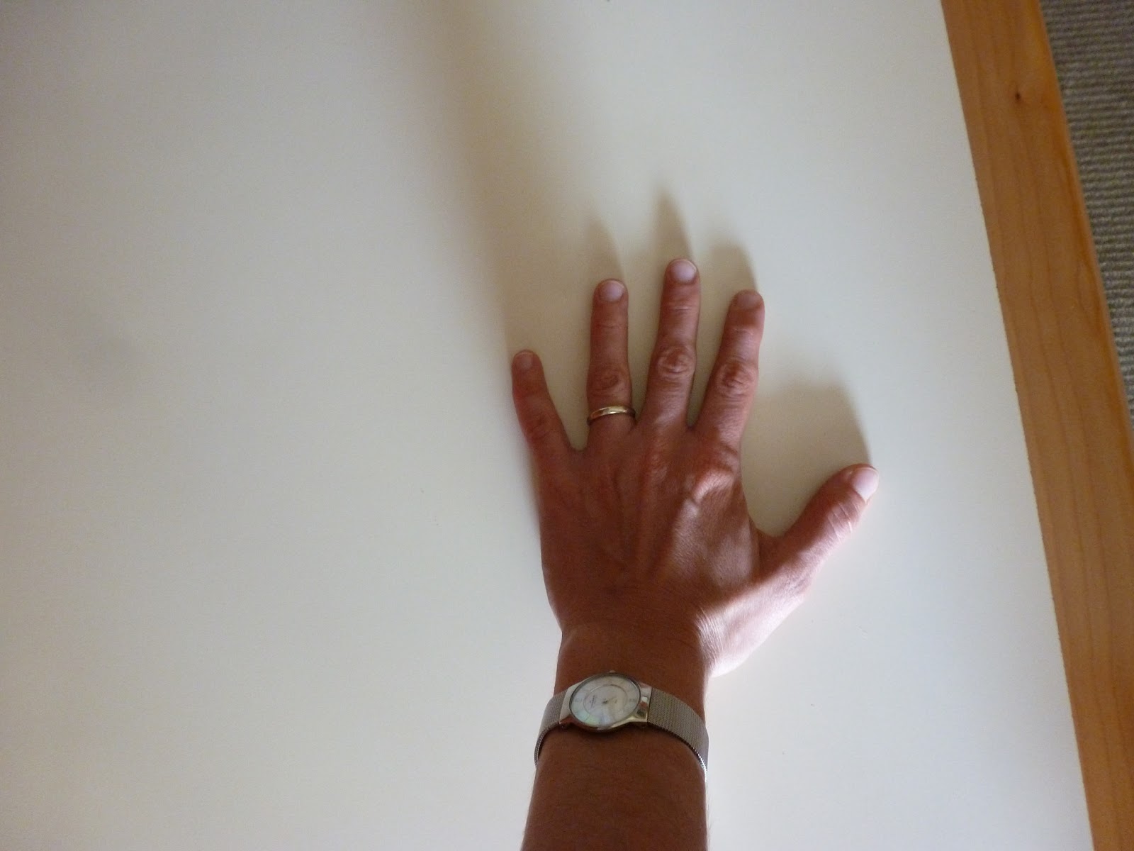 FleshContext: What Knife-Hand Strike Can Tell Us About Hand/Wrist ...