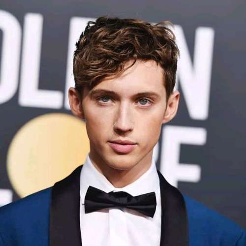 troye sivan wiki age girlfriend net worth brainery adviser troye sivan wiki age girlfriend net worth brainery adviser