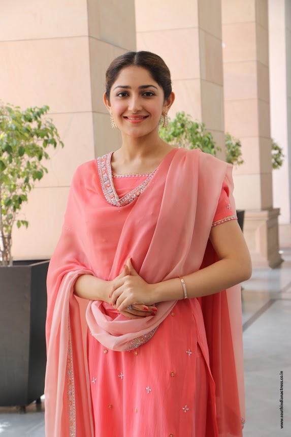 Sayyeshaa Saigal at Kadaikutty Singam Success Meet