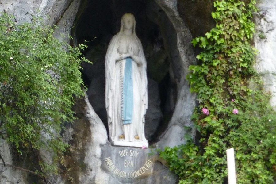 La Gioia del Vangelo SI