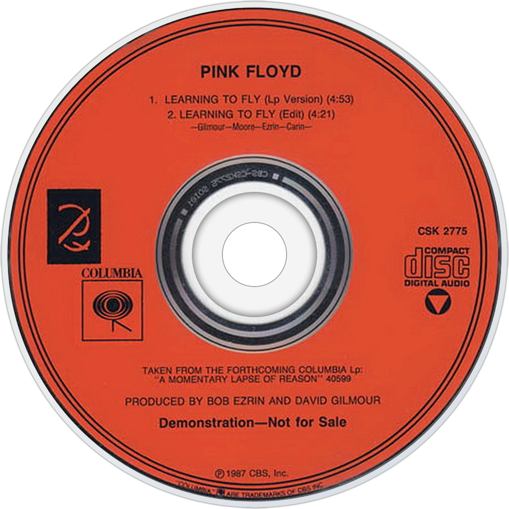 картинка pink floyd - learning to fly. Pink floyd learning to fly альбом. альбом pink floyd delicate sound of thunder. Pink floyd learning to fly обложка. Pink floyd learning to fly обложка.