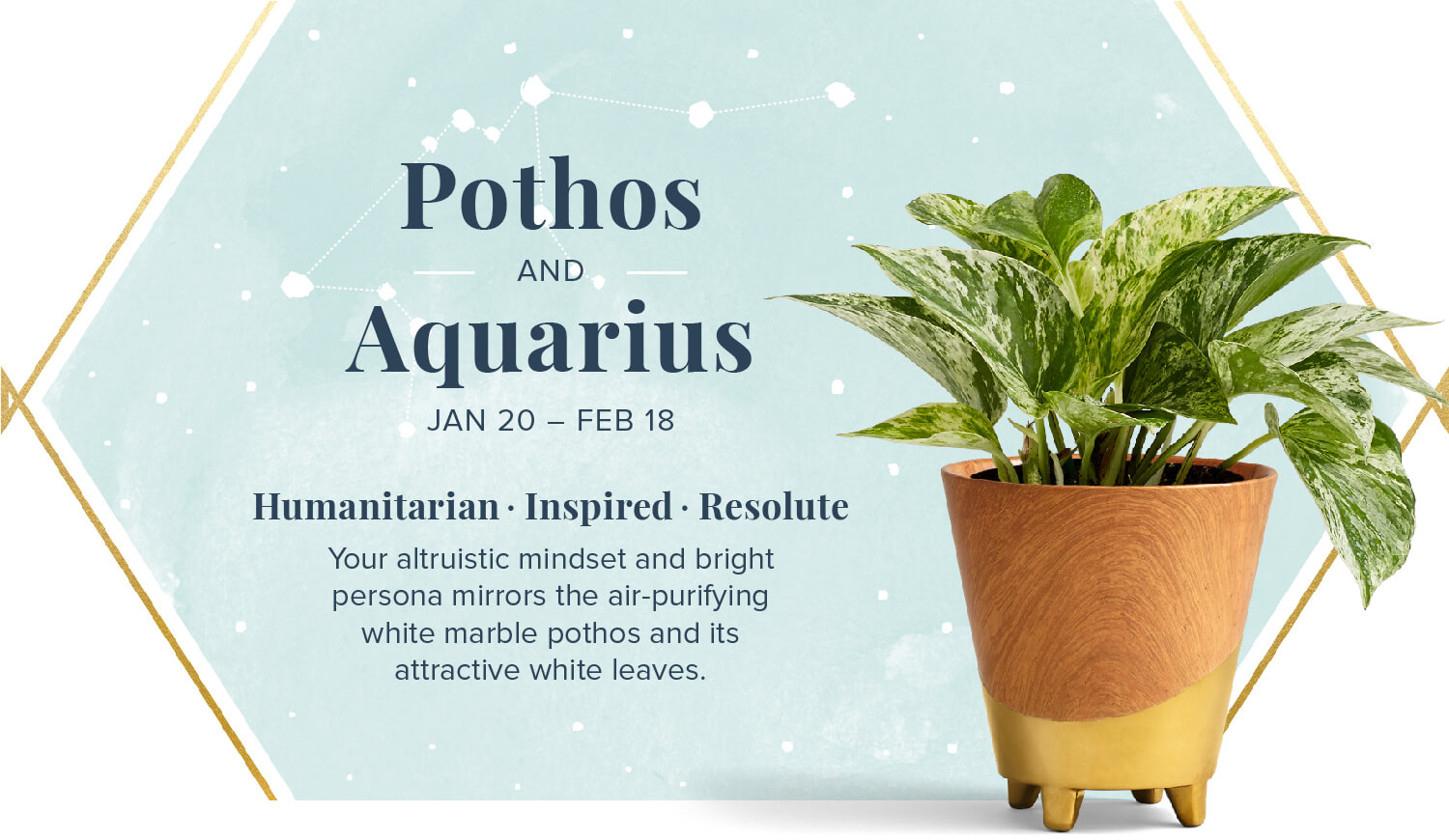 Your Perfect Plant According to Your Zodiac Sign Your Perfect Plant According to Your Zodiac Sign