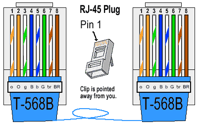 susunan kabel lan