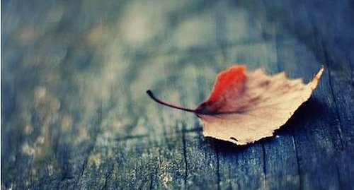 yoldaki kalemler blogger