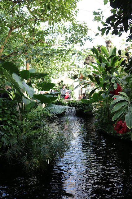 Amy's Creative Pursuits: Como Park Conservatory and the Tropical ...