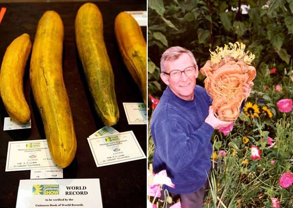 Frutas e Legumes Gigantes Frutas e Legumes Gigantes