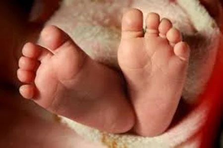 Racket for new born increased,Family, News, Child, Parents, Police, Case, Kerala