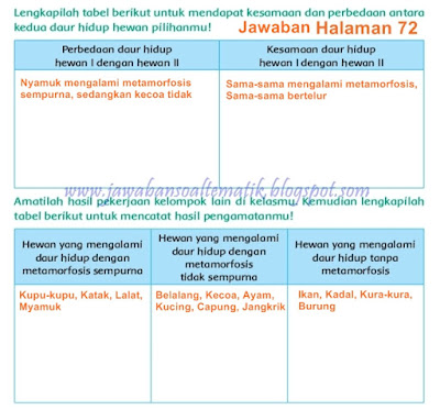 Kunci Jawaban Buku Tematik Tema 6 Kelas 4 Halaman 63 64 