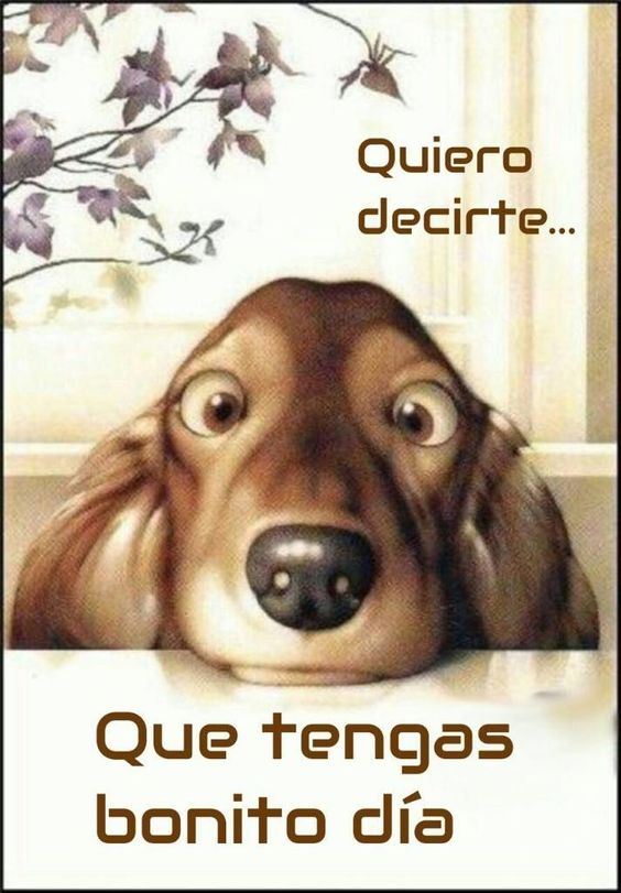 Imagenes con frases y mensajes de buenos días