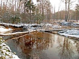 foto: Polisky nature reserve