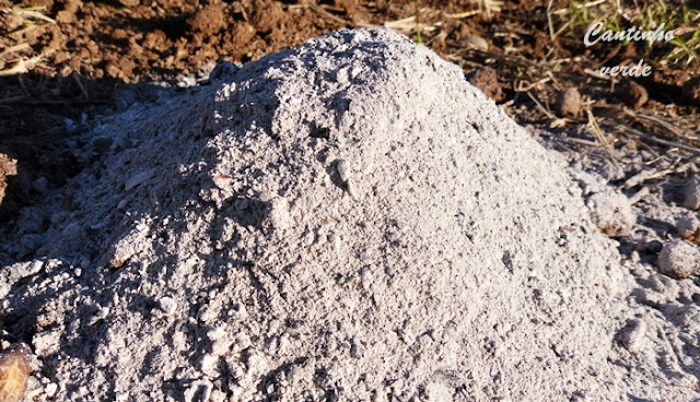 As vantagens da aplicação de cinza na agricultura