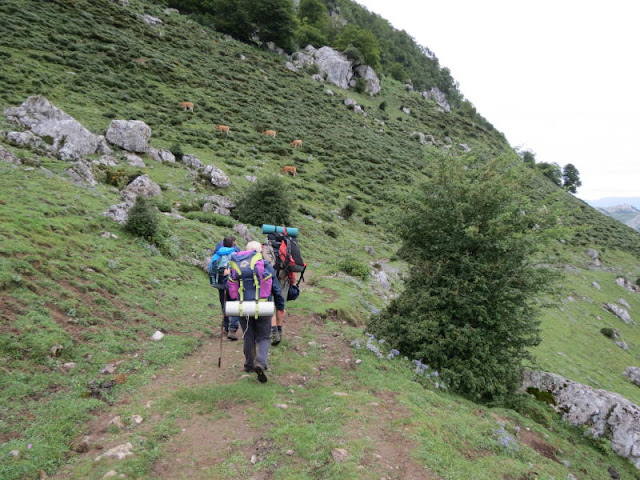Montaña y Cicloturismo: TORRE DE LA CANAL PARDA ( 2350 M ) Y MIRADOR DE