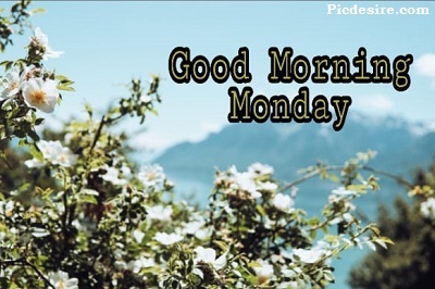 Good Morning Monday | 15+ Best Good Morning Monday Images