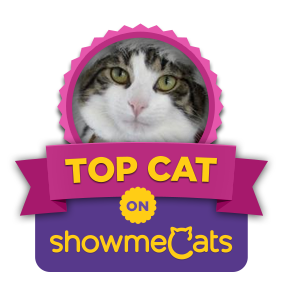 ShowmeCats