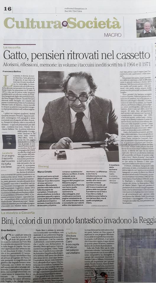 Fanculo che giovane nero micio