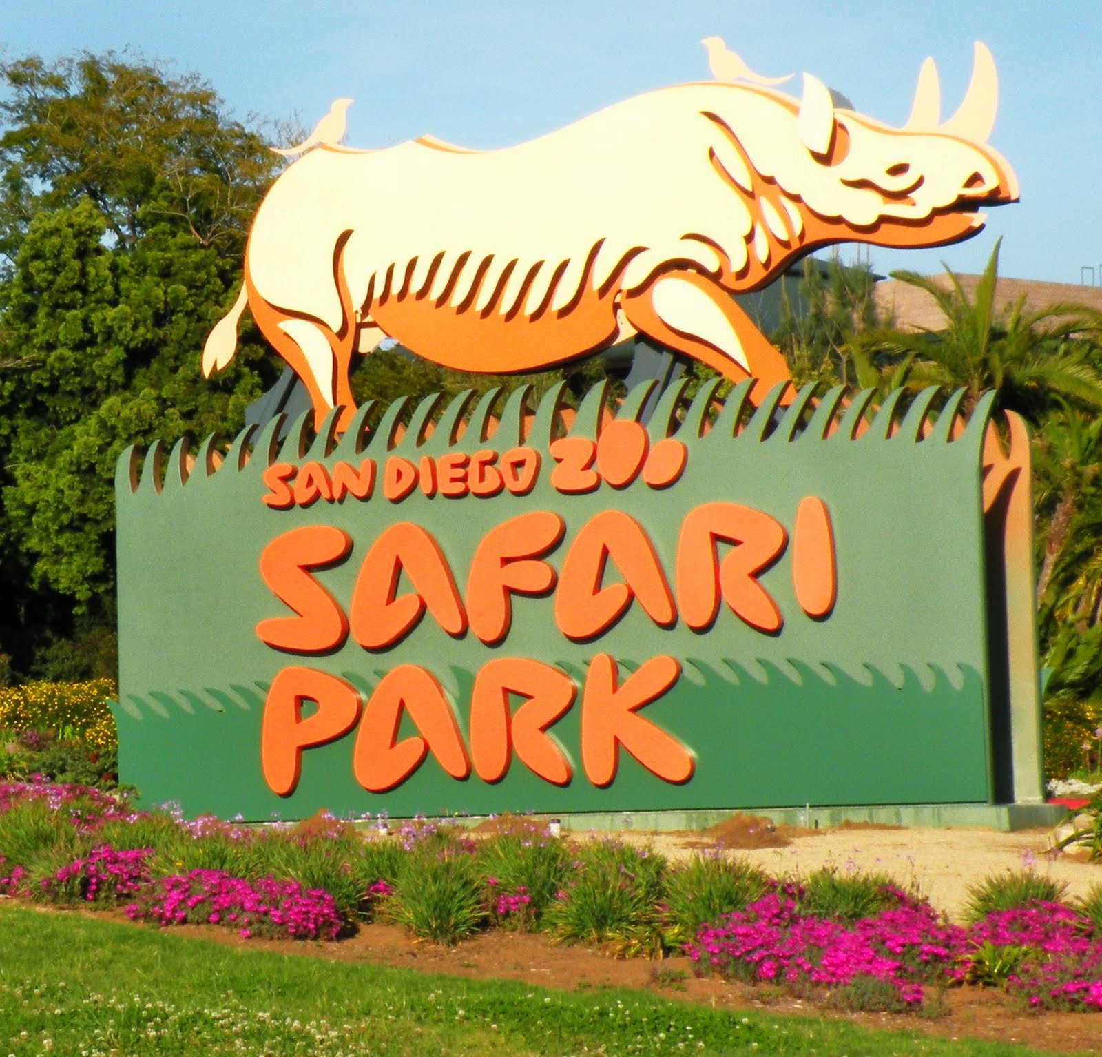 Money in my Pocket San Diego Zoo Safari Park DISCOUNT TICKETS Get