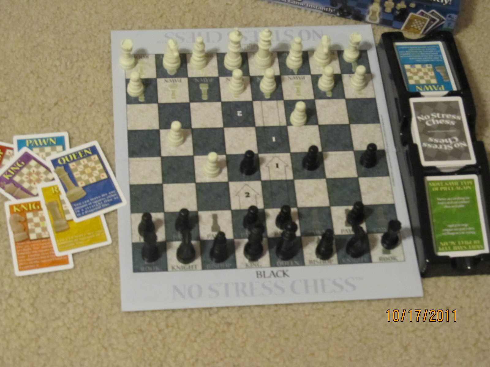 Horsing Around At Home: No Stress Chess