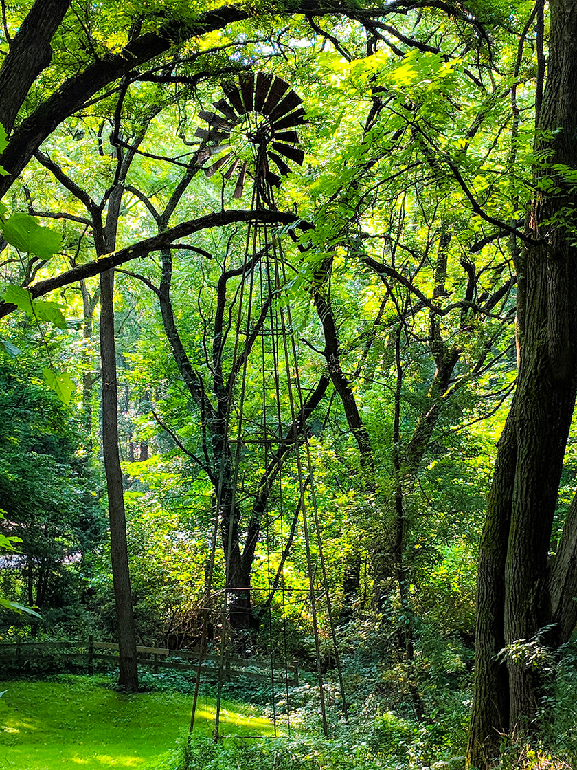 Hiking Morton Forest County Park