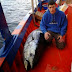 (ΕΛΛΑΔΑ) Ψάρι γίγαντα ... έπιασε 17χρονος στο Βόρειο Ευβοϊκό (φωτο)