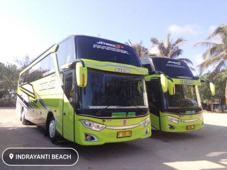 Trans Semarang: Menuju Transportasi Publik yang Efisien dan Ramah Lingkungan di Kota Atlas