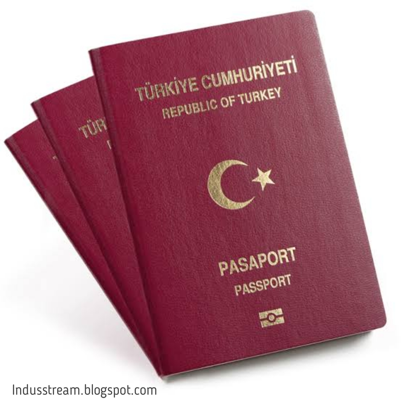 Паспорт Турции