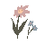 giphy%2B%25285%2529.gif