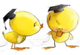 Scoala Gimnazială Dr Bernady Gyorgy Tirgu Mures 09 01 2012 10 01 2012