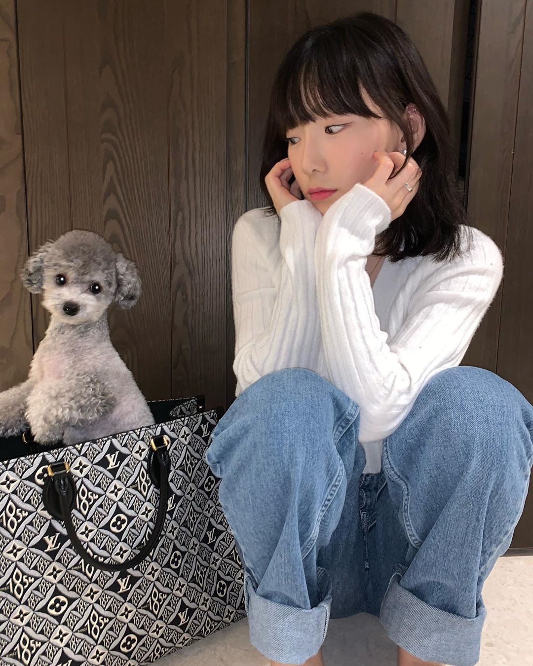 A cute pooch is inside Taeyeon's Louis Vuitton bag! - Wonderful Generation