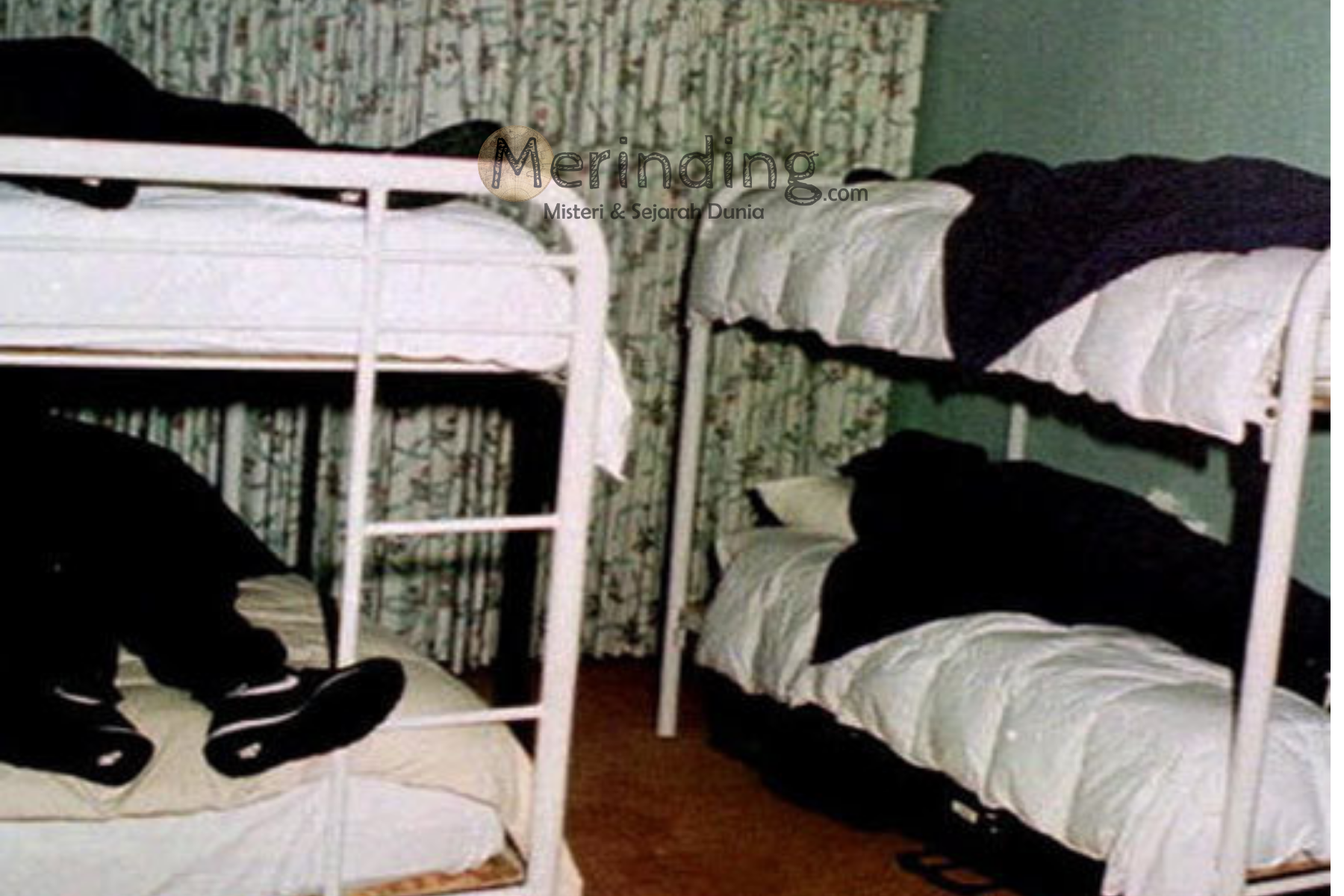 Tragedi Bunuh Diri Massal Sekte Heaven's Gate