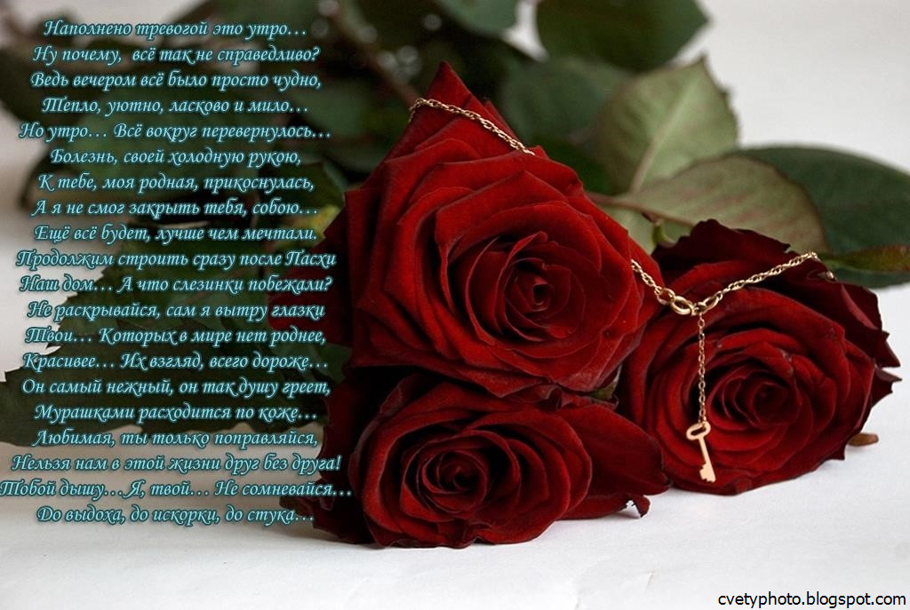 Красивые розы стихи. Цветы для любимой. Цветы любимой со стихами. Цветы для любимой девушки. Розы для любимой.