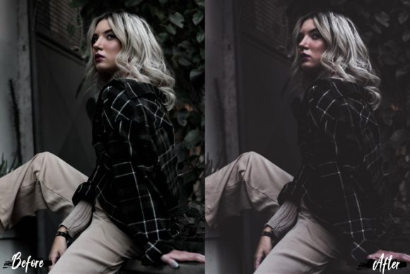 14 Drama Lightroom Presets, ACR presets (LR, XMP)