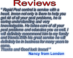 pest control london ontario review one