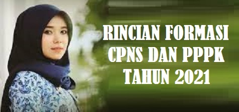 Pengumuman Rincian Formasi CPNS dan PPPK Tahun  PENGUMUMAN RINCIAN FORMASI CPNS DAN PPPK TAHUN 2021