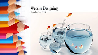 how to become a professional web designer