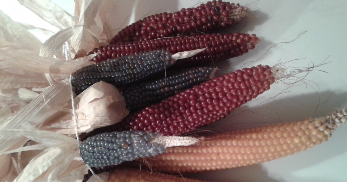 Itsy Bitsy Little Farm