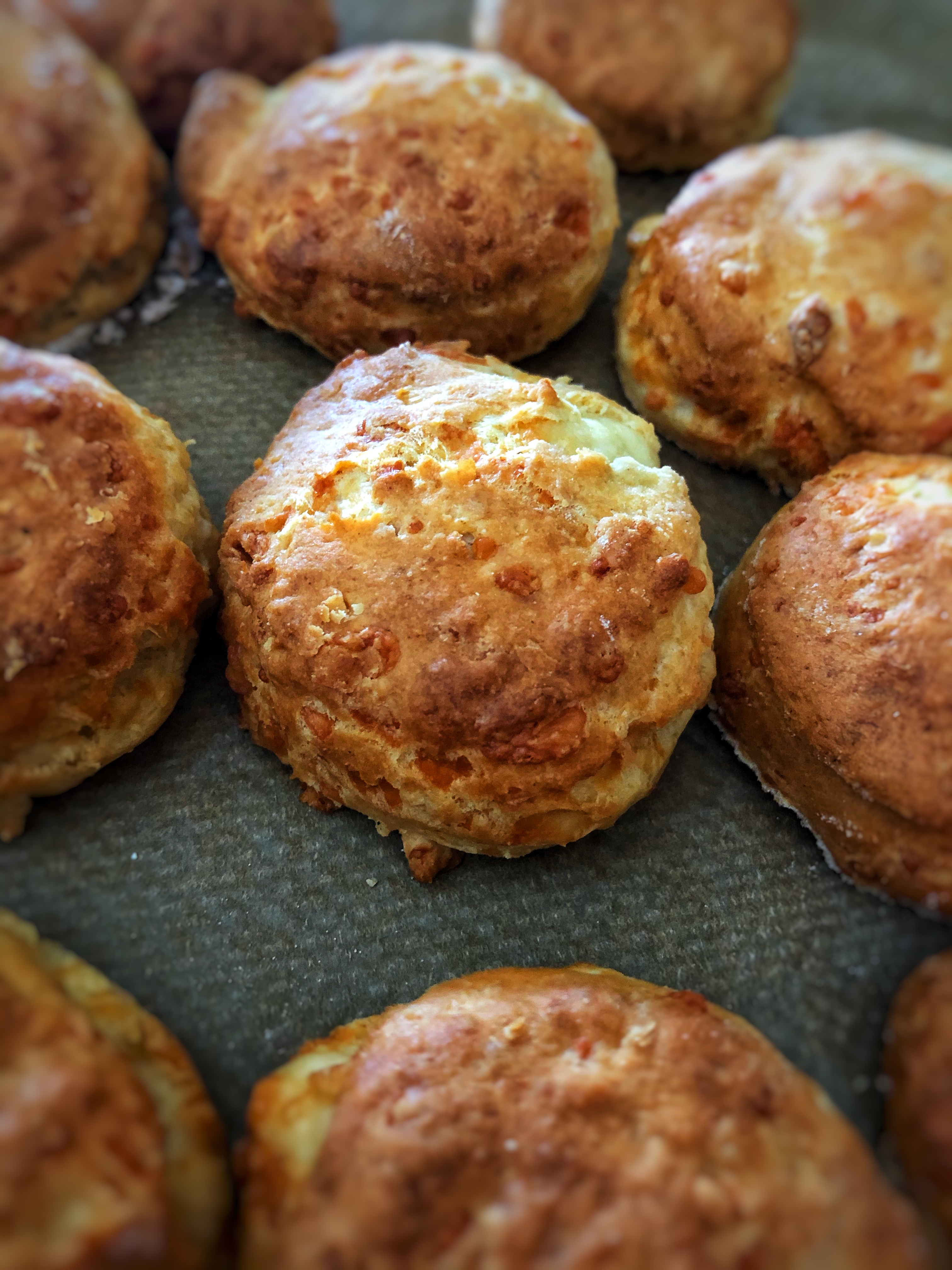 EXTRA MATURE CHEDDAR CHEESE MINI SCONES | The Very Busy Isy
