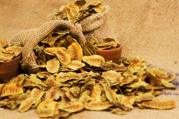 Το βότανο που καταπολεμά την δυσκοιλιότητα και καθαρίζει το πεπτικό μας σύστημα