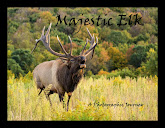 "Majestic Elk" book