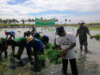 Agus Salim Calon Kades Balielo Wajo Hadirkan Konsep Pertanian Modern