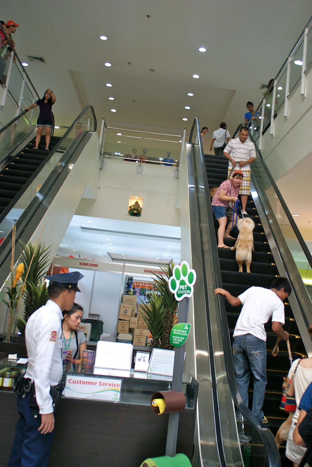 Parkmall- Cebu's Most Pet-friendly Mall