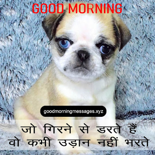 Cute Puppy Good Morning Pictures With Message In Hindi