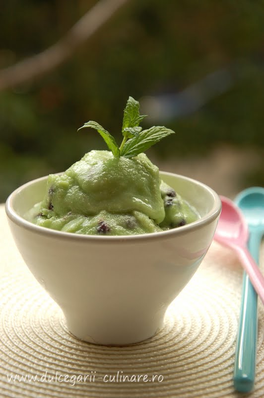Inghetata cu sirop de menta si afine