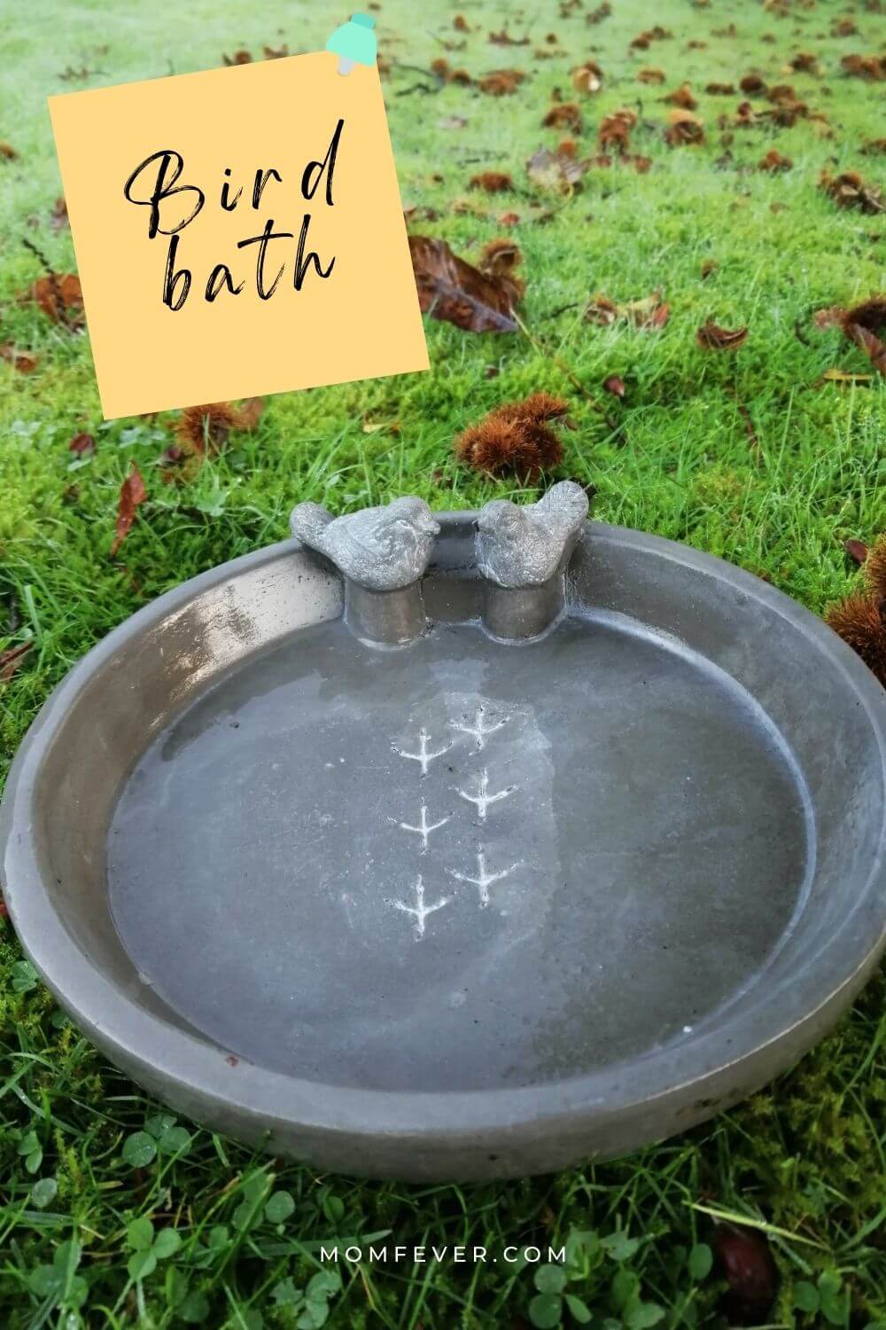 bird bath