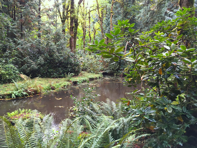 Things are changing and getting more fall like on Frog Island.